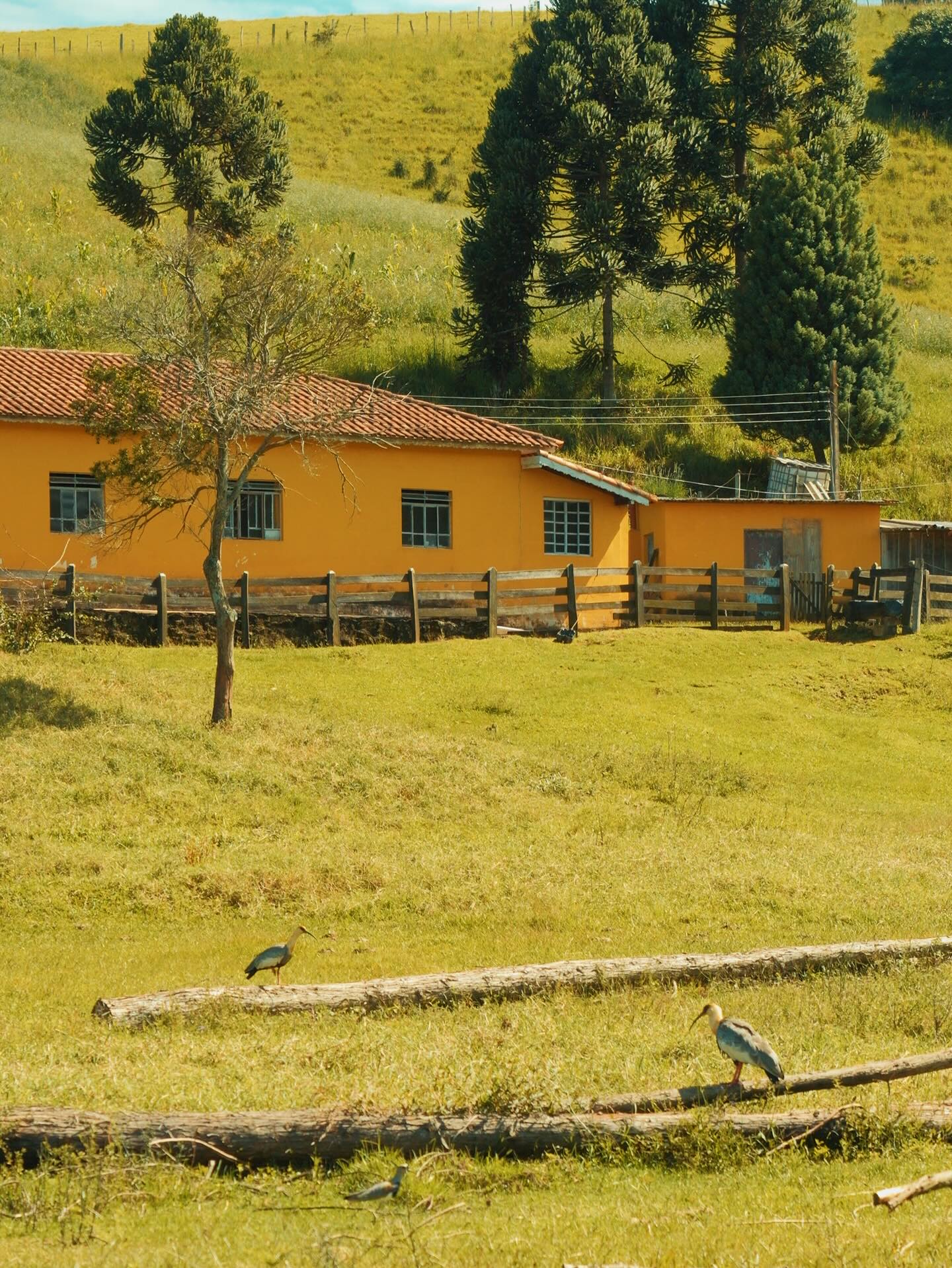 Postagem feita no Instagram do Turismo