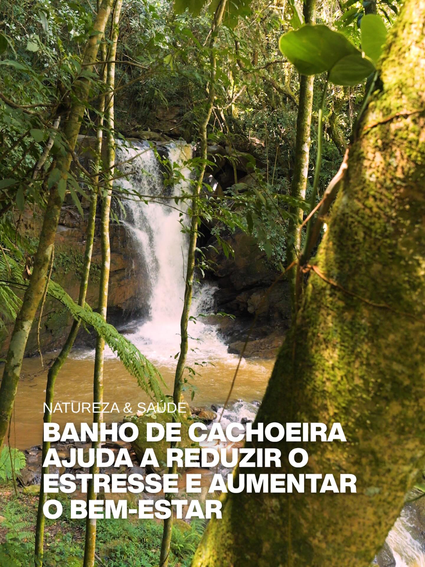 Postagem feita no Instagram do Turismo