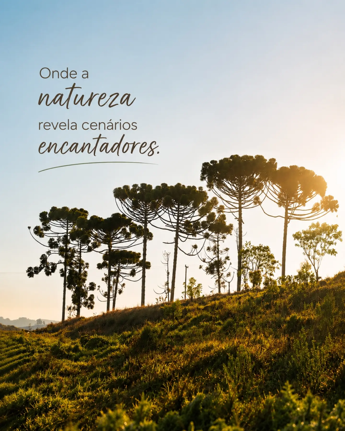 Postagem feita no Instagram do Turismo